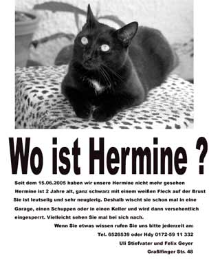 Hermines Steckbrief